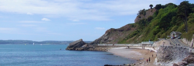 Pet Friendly Accommodation in Torquay to Rent